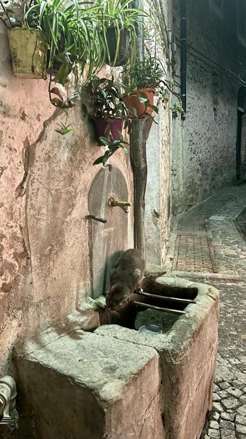Le Petit Bijou Di Dolceacqua, Per Un Momento Romantico Екстер'єр фото
